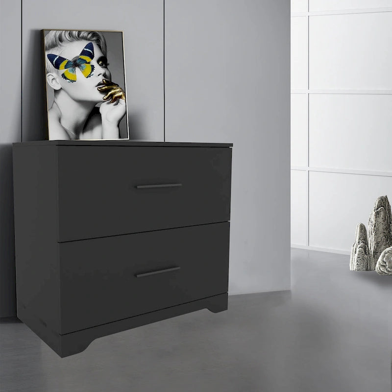 Aktenschrank mit 2 Schubladen, seitlich ausziehbar, Aufbewahrungsschrank für das Homeoffice, Schwarz